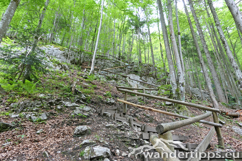 Arlingsattel/Pyhrgasgatterl Abbildung 5