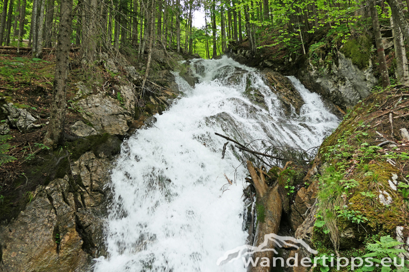 Arlingsattel/Pyhrgasgatterl Abbildung 6