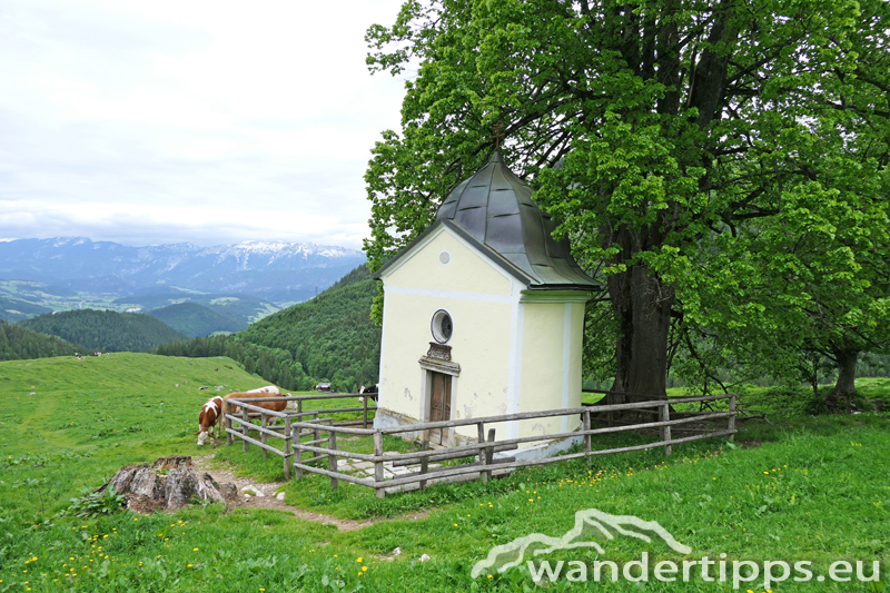 Arlingsattel/Pyhrgasgatterl Abbildung 8