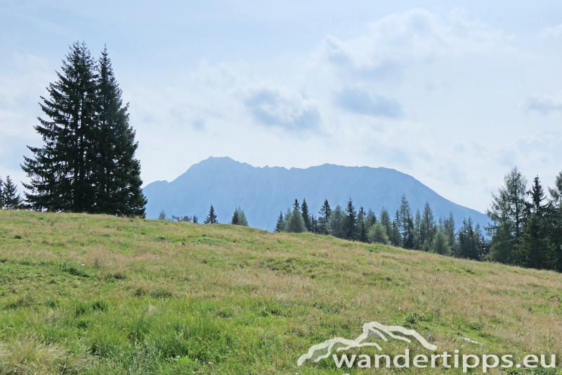 Wurzeralm/Schwarzeck Abbildung 11