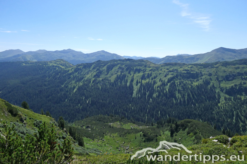 Plannereck Abbildung 5