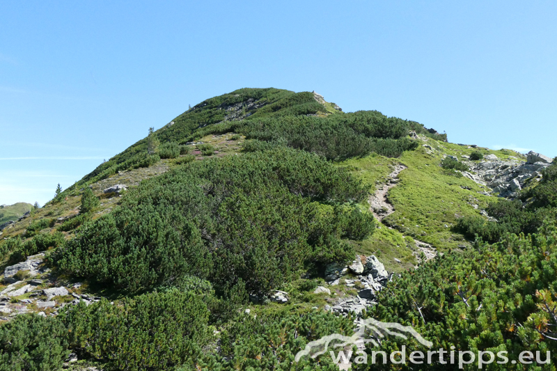 Plannereck Abbildung 6