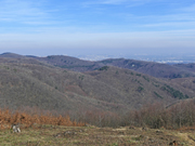 Höllenstein Abbildung 9