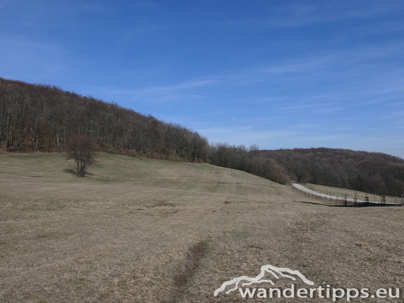 Höllenstein Abbildung 12