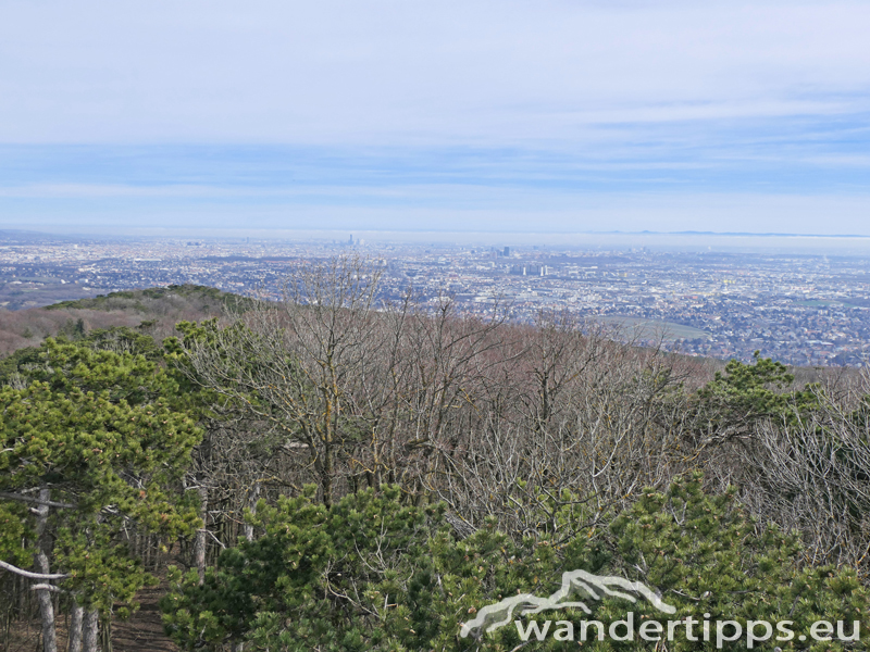 Höllenstein Abbildung 4