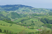 Lindaumauer Abbildung 3