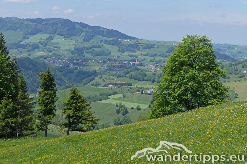 Lindaumauer Abbildung 14