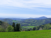 Hoher Zetz Abbildung 17