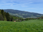 Hoher Zetz Abbildung 18