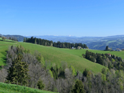 Hoher Zetz Abbildung 5