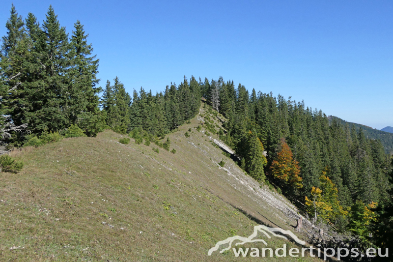 Preineckkogel Abbildung 11
