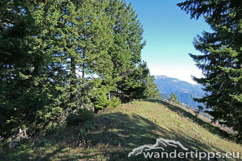 Preineckkogel Abbildung 12