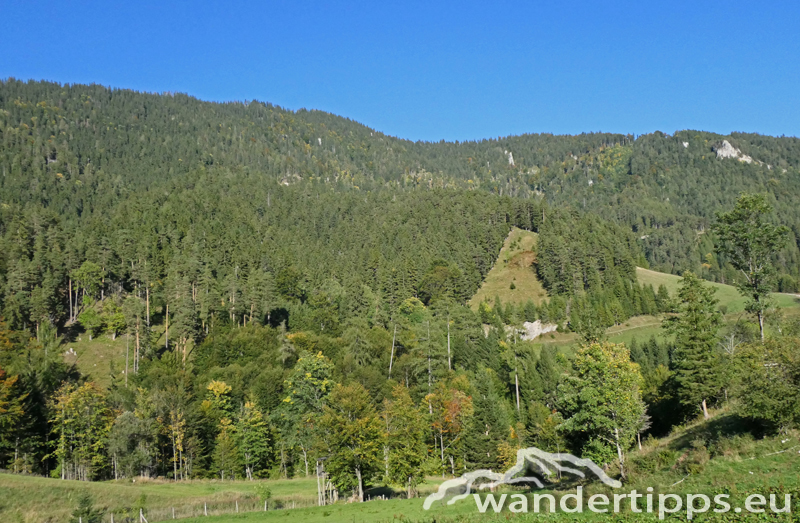 Preineckkogel Abbildung 16