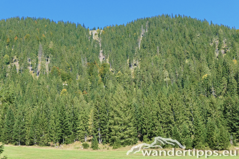 Preineckkogel Abbildung 6