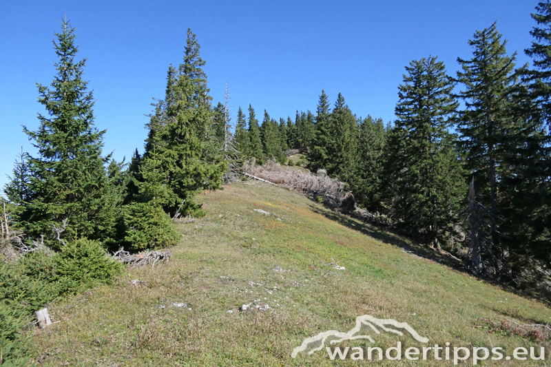 Preineckkogel Abbildung 7