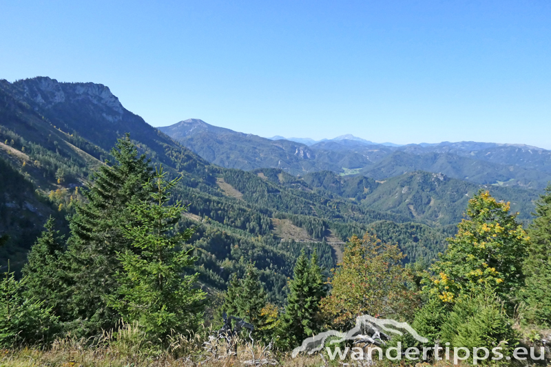 Preineckkogel Abbildung 8