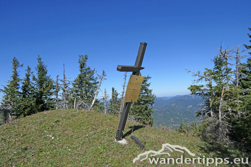 Preineckkogel Abbildung 9