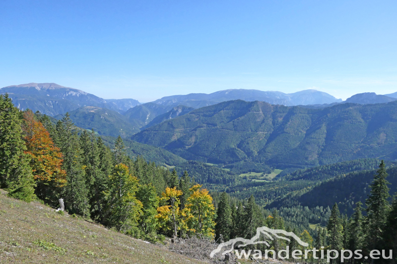 Preineckkogel Abbildung 10