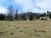 Almesbrunnberg Abbildung 12