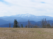 Almesbrunnberg Abbildung 13