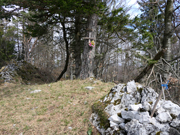 Almesbrunnberg Abbildung 14