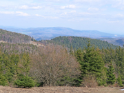 Almesbrunnberg Abbildung 15