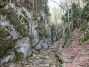 Almesbrunnberg Abbildung 4