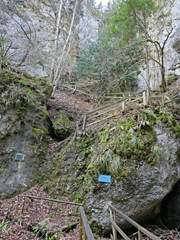 Almesbrunnberg Abbildung 6