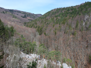 Almesbrunnberg Abbildung 9