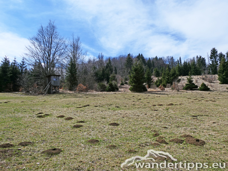 Almesbrunnberg Abbildung 12