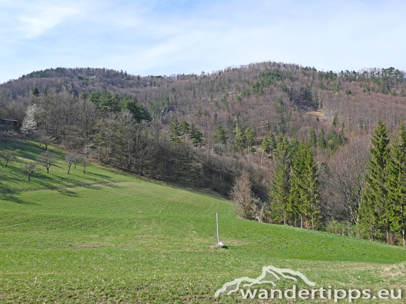 Almesbrunnberg Abbildung 19