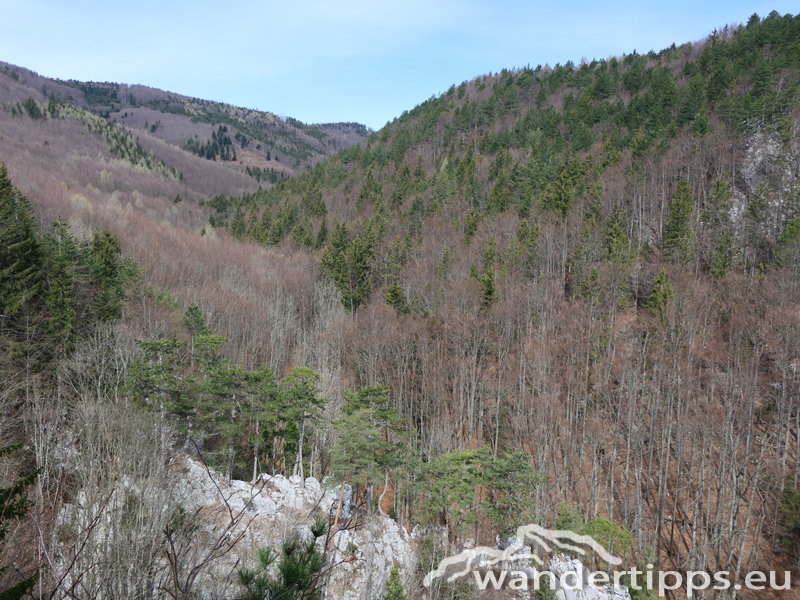 Almesbrunnberg Abbildung 9