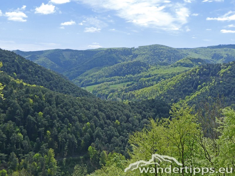 Hocheck von Süden Abbildung 4