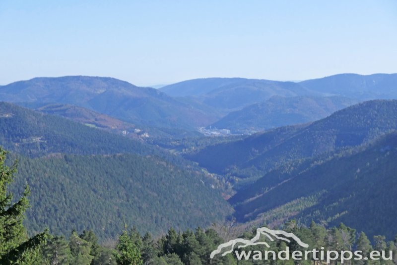 Kirchwaldberg Abbildung 15