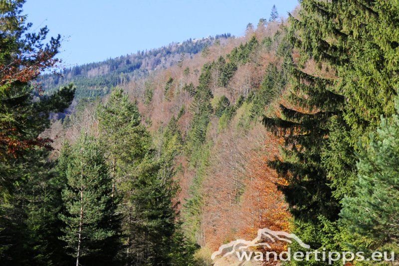 Kirchwaldberg Abbildung 3