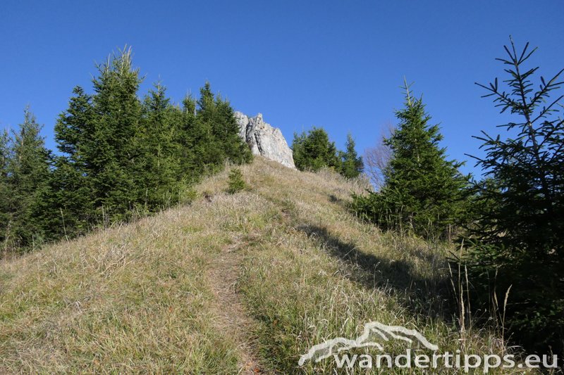 Kirchwaldberg Abbildung 8