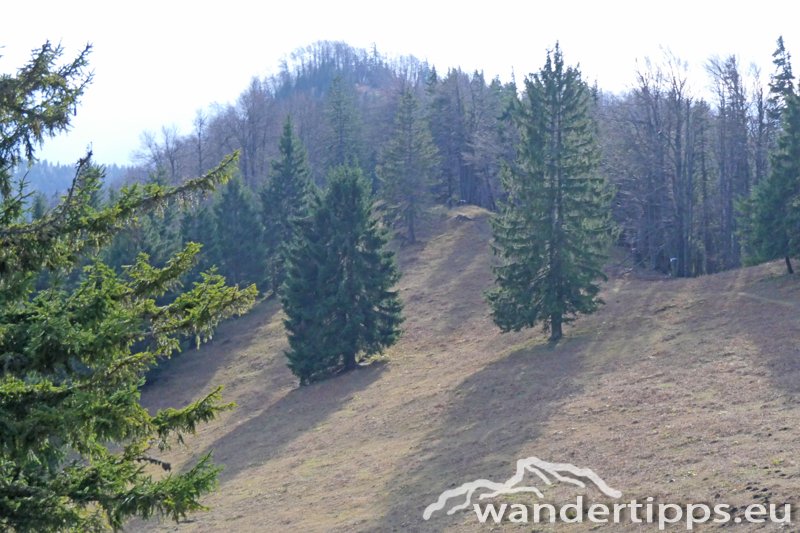 Stadelberg/Linsberg Abbildung 12