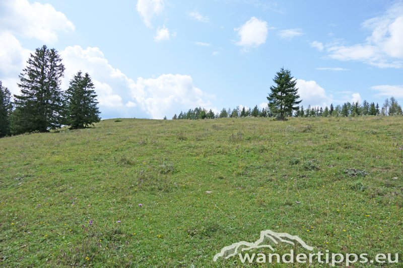 Eibl/Karnerhofspitze Abbildung 11