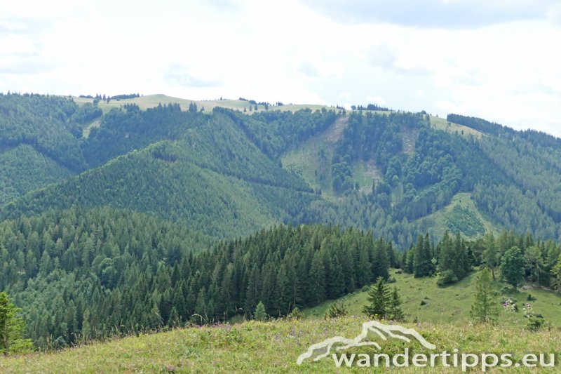 Eibl/Karnerhofspitze Abbildung 13