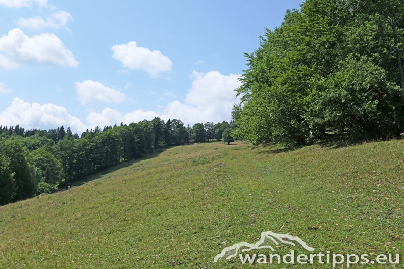 Eibl/Karnerhofspitze Abbildung 10