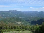 Türnitzer Höger von Osten Abbildung 12