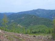 Türnitzer Höger von Osten Abbildung 13