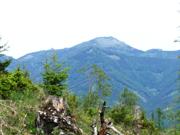 Türnitzer Höger von Osten Abbildung 14