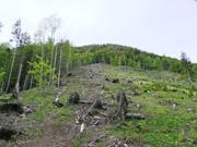 Türnitzer Höger von Osten Abbildung 3