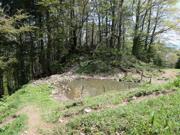 Türnitzer Höger von Osten Abbildung 4