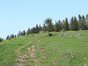 Türnitzer Höger von Osten Abbildung 5