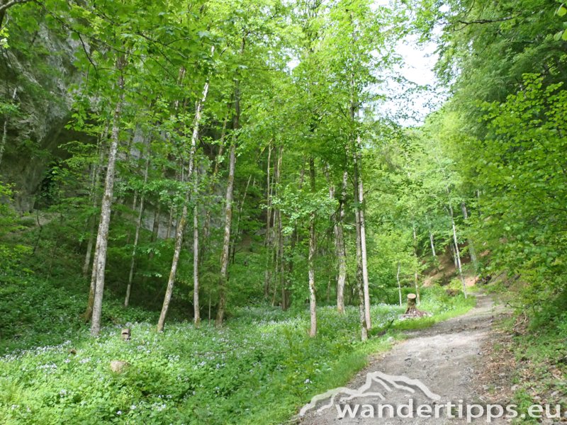 Türnitzer Höger von Osten Abbildung 2