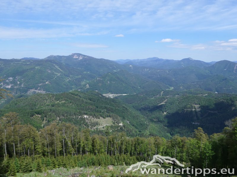 Türnitzer Höger von Osten Abbildung 12