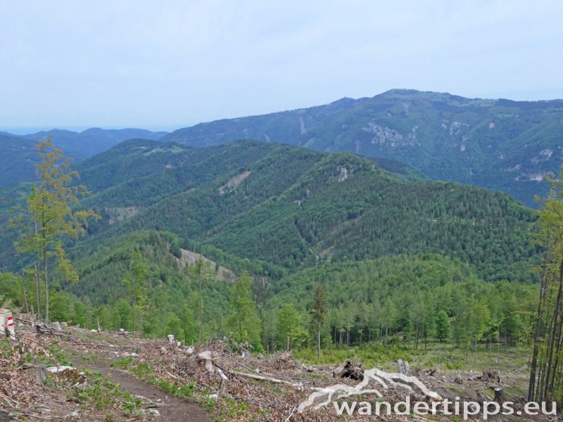 Türnitzer Höger von Osten Abbildung 13