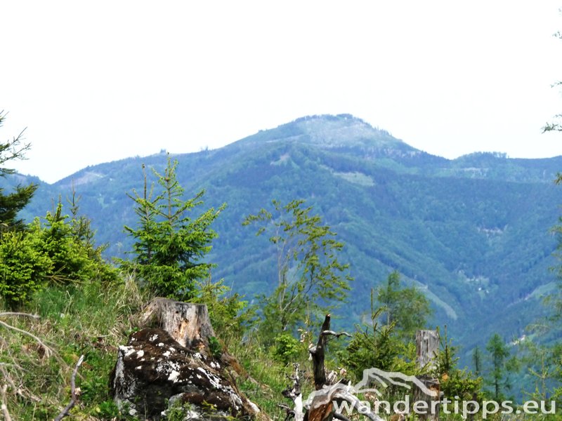 Türnitzer Höger von Osten Abbildung 14